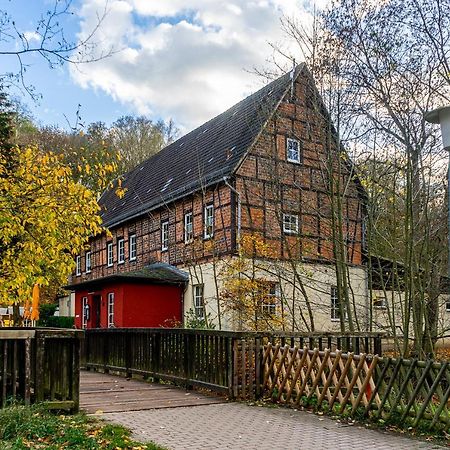 Falk & Frei Selketal Resort Meisdorf Zewnętrze zdjęcie